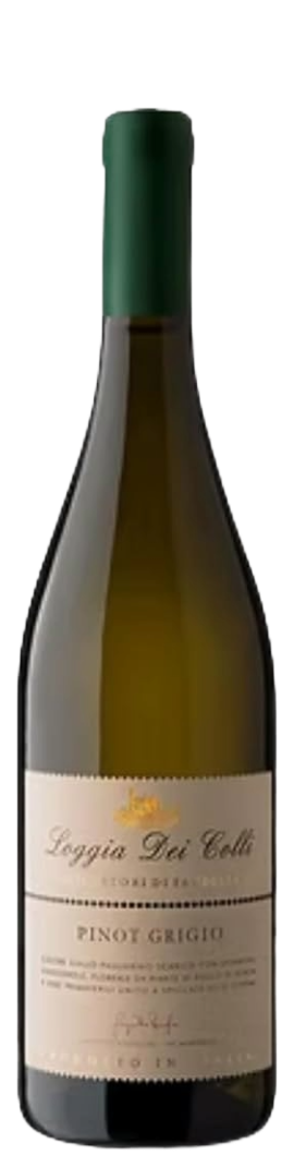 Loggia Dei Colli Pinot Grigio DOC